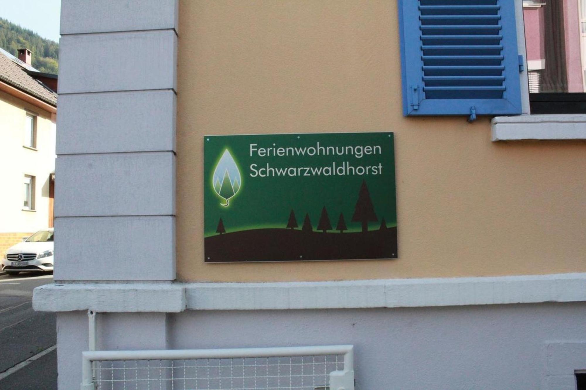 Schwarzwaldhorst 1 Fuer 8 Gaeste In Todtnau, Liftverbund Feldberg Extérieur photo