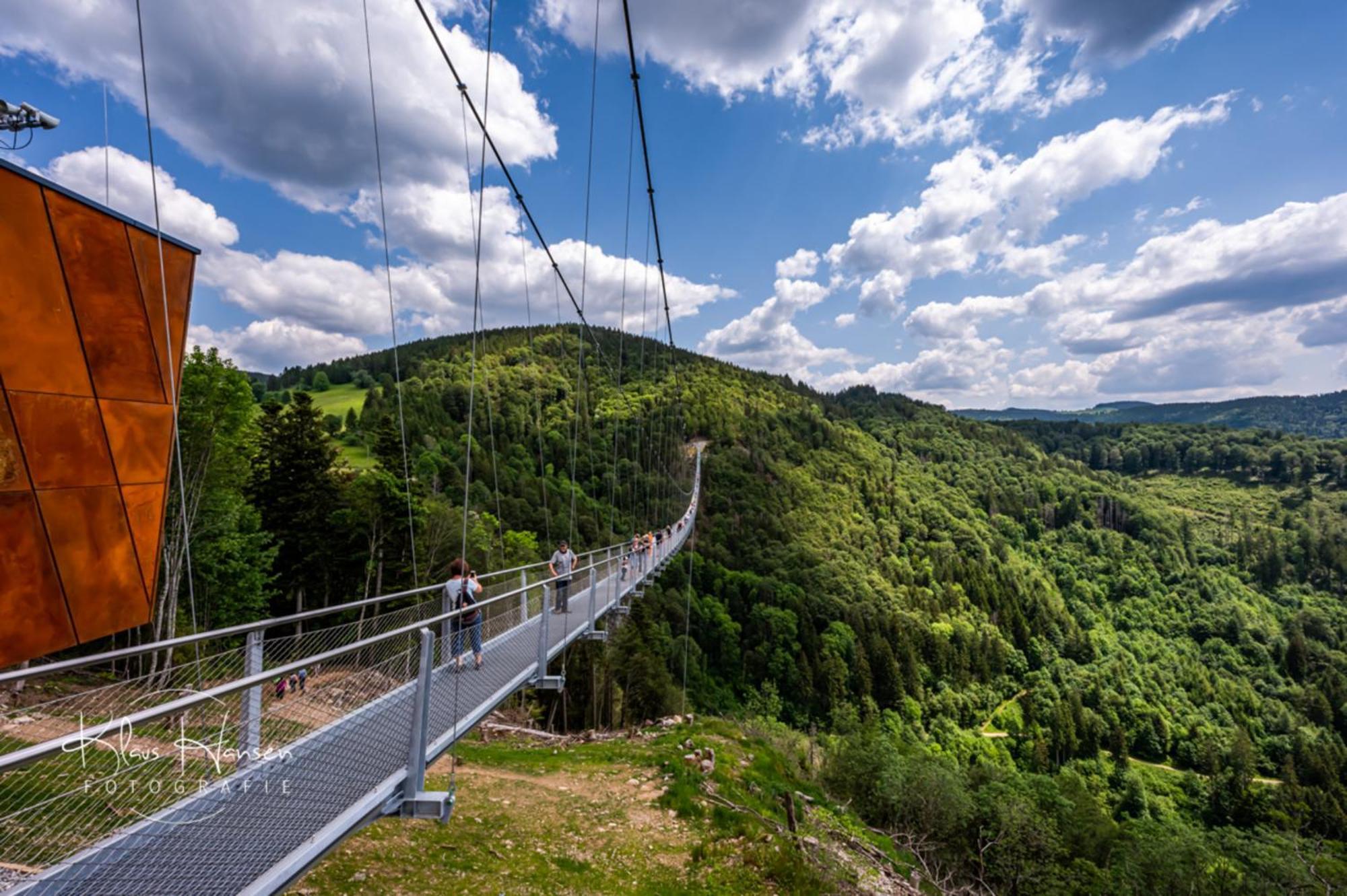 Schwarzwaldhorst 1 Fuer 8 Gaeste In Todtnau, Liftverbund Feldberg Extérieur photo