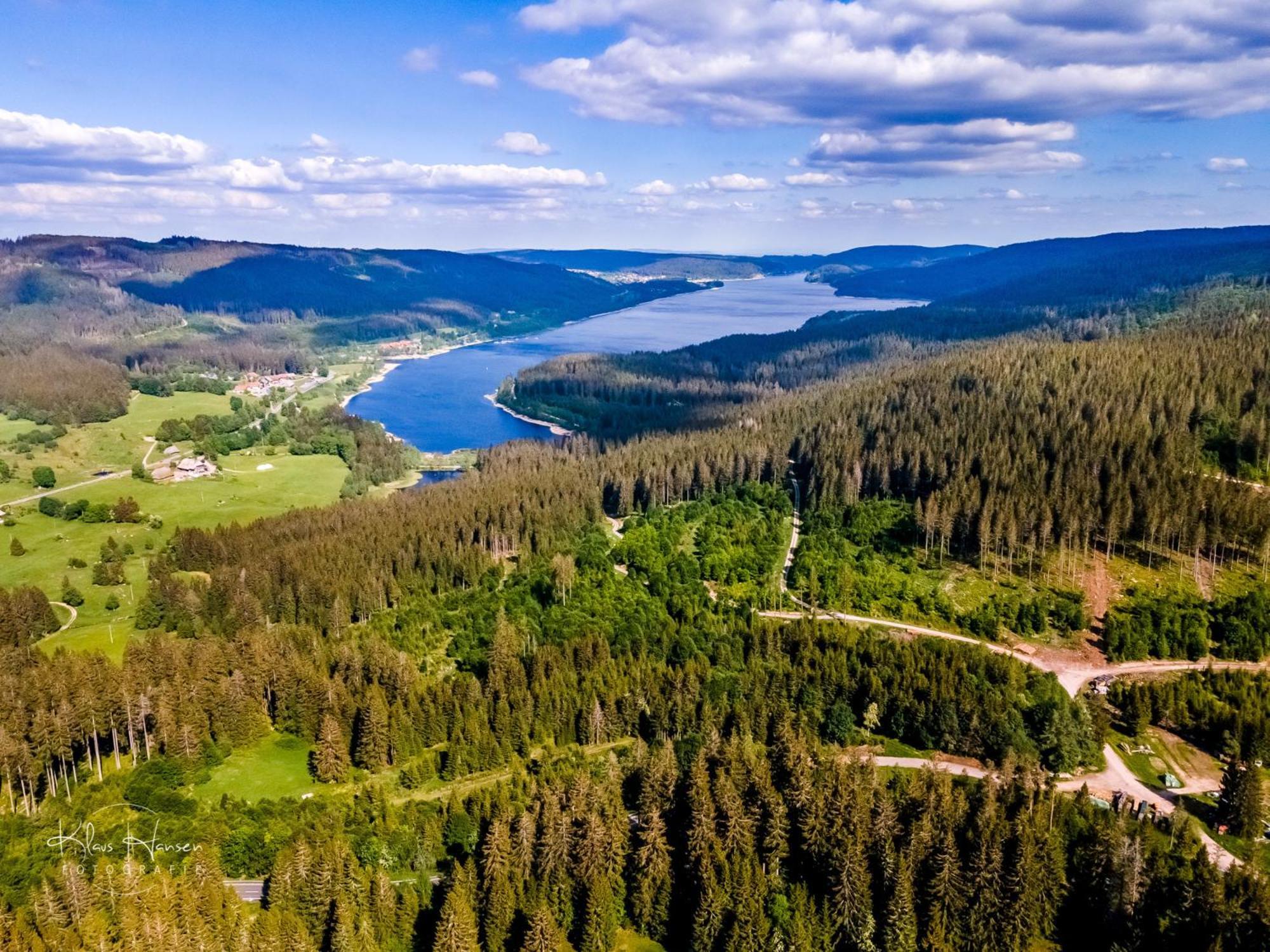 Schwarzwaldhorst 1 Fuer 8 Gaeste In Todtnau, Liftverbund Feldberg Extérieur photo